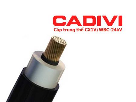 Cáp trung thế 1 lõi 24kV CADIVI CXIV/WBC