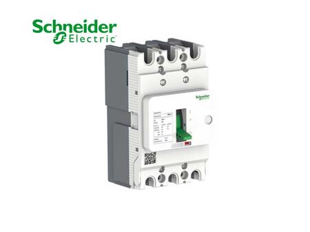 Cầu dao tự động dạng khối MCCB - EasyPact EZS100E/F by Schneider Electric