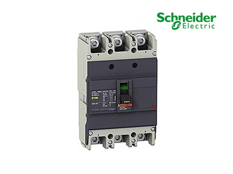 Cầu dao tự động dạng khối MCCB - EasyPact EZC250 by Schneider Electric